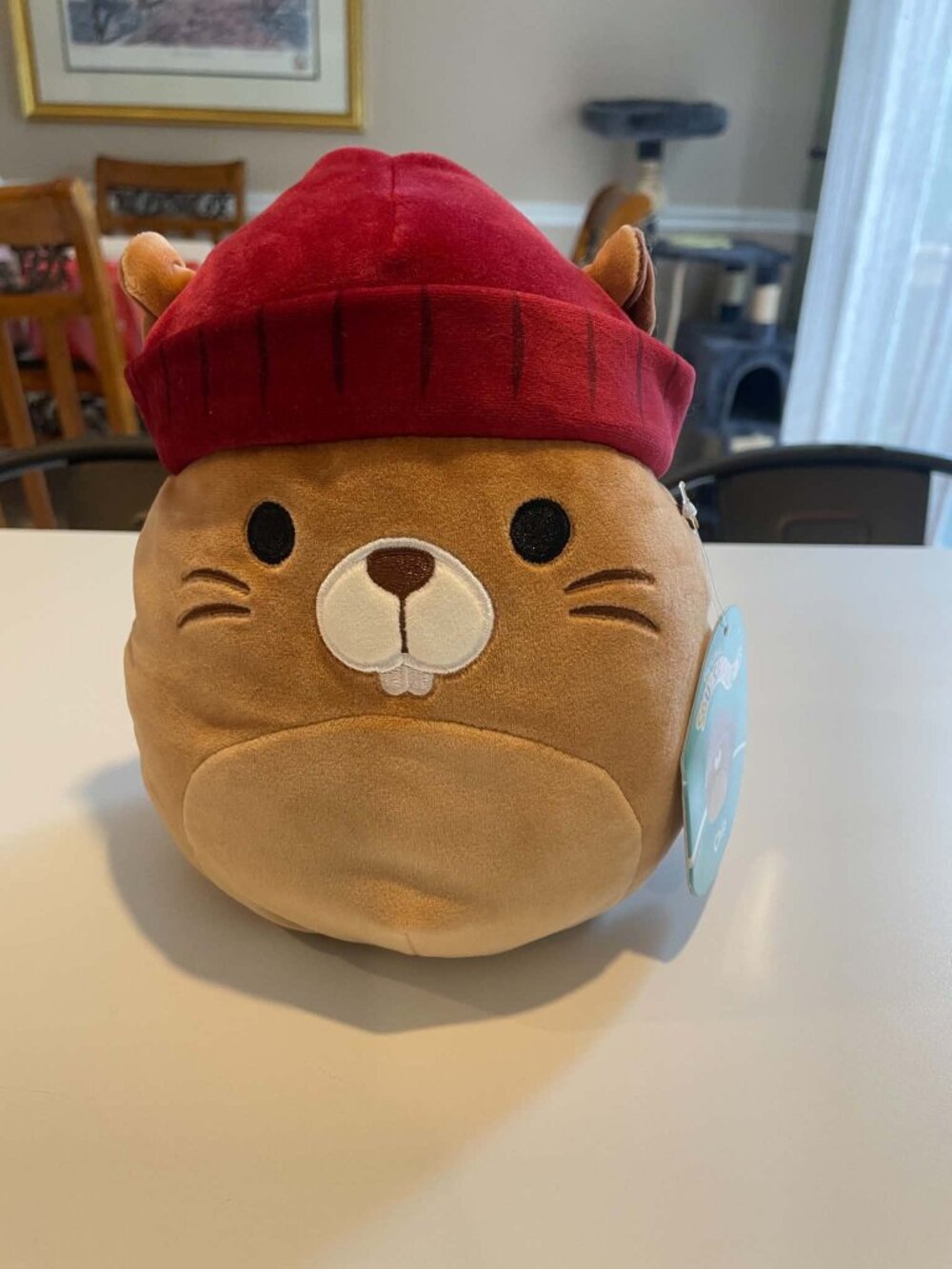 Squishmallows Beaver Chip Plush New Stuffed Animal